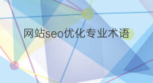 网站seo优化专业术语 aso优化道与术专业术语