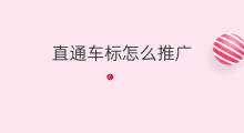 直通车标怎么推广 什么是直通车标