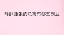 静脉曲张的危害有哪些副业 chatgpt的危害