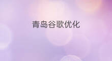 青岛谷歌优化 青岛SEO优化