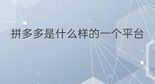 拼多多是什么样的一个平台 抖音上一个叫什么样的