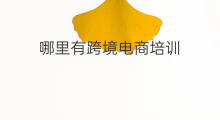 哪里有跨境电商培训 电商跨境培训哪里有