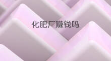 化肥厂赚钱吗 农村卖化肥赚钱吗