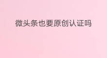 微头条也要原创认证吗 原创微头条认证要钱吗