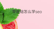 零基础怎么学seo 零基础学seo好吗