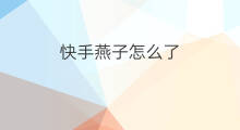 快手燕子怎么了 放快手怎么了