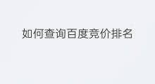 如何查询百度竞价排名 百度竞价排名怎么查询