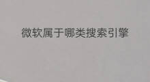 微软属于哪类搜索引擎 搜索引擎是哪类新媒体引擎