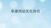 阜康网站优化排名 阜康seo优化公司