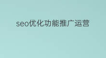 seo优化功能推广运营 快速seo优化运营
