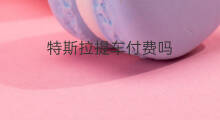 特斯拉提车付费吗 特斯拉Y流量怎么付费