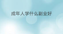 成年人学什么副业好 成年人有副业思维吗
