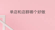 单店和店群哪个好做 店群和单店哪个好做