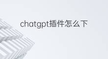 chatgpt插件怎么下载 chatgpt插件下载