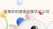 效果好的搜索引擎优化公司 天津好的搜索引擎优化公司