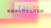 新媒体社群怎么开发的 新媒体社群怎么操作