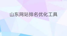 山东网站排名优化工具 山东百度网站排名优化工具