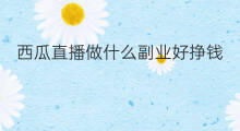 西瓜直播做什么副业好挣钱 网上做什么副业好挣钱