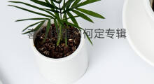 喜马拉雅如何定专辑 喜马拉雅专辑如何合并