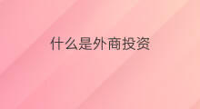 什么是外商投资 外商投资条件