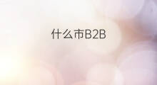 什么市B2B 山东省泰安市b2b优化
