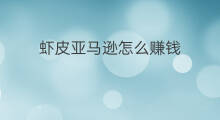 虾皮亚马逊怎么赚钱 亚马逊怎么赚钱