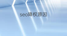 seo降权原因 seo外链降权原因