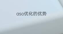 aso优化的优势 seo优化中的优势