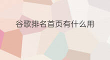 谷歌排名首页有什么用 谷歌排名首页怎么算