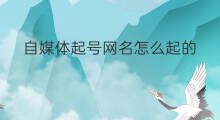 自媒体起号网名怎么起的 自媒体起号网名怎么起