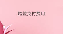 跨境支付费用 支付费用