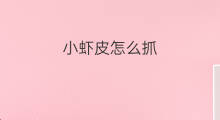 小虾皮怎么抓 哪里有虾皮抓