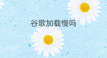 谷歌加载慢吗 苹果快手加载慢怎么解决