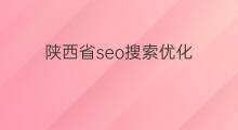 陕西省seo搜索优化 陕西省网站优化排名软件
