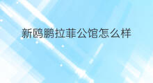 新鸥鹏拉菲公馆怎么样 新鸥鹏拉菲公馆物业怎么样
