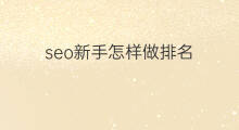 seo新手怎样做排名 seo新手怎样做代发