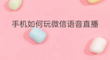 手机如何玩微信语音直播 直播如何制作微信语音