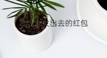 怎么查发出去的红包 抖音红包怎么发出去