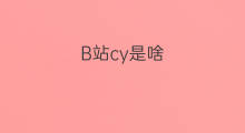 B站cy是啥 B站是啥站