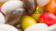 公司没有副业怎么赚钱的 公司没有副业怎么赚钱