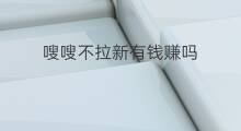 嗖嗖不拉新有钱赚吗 快手有钱赚吗