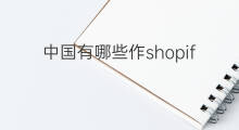 中国有哪些作shopify 中国有哪些出海公司
