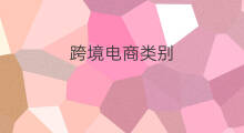 跨境电商类别 跨境电商开票类别