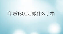 年赚1500万做什么手术 年赚10万可以做什么
