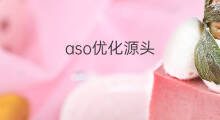 aso优化源头 aso源头公司是什么