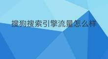 搜狗搜索引擎流量怎么样 搜狗搜狗搜索引擎优化
