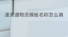 速卖通物流模板名称怎么填 速卖通物流模板怎么调取