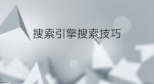 搜索引擎搜索技巧 搜索引擎技巧