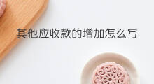 其他应收款的增加怎么写 其他应收款增加怎么解释