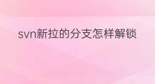svn新拉的分支怎样解锁 如何拉取新分支